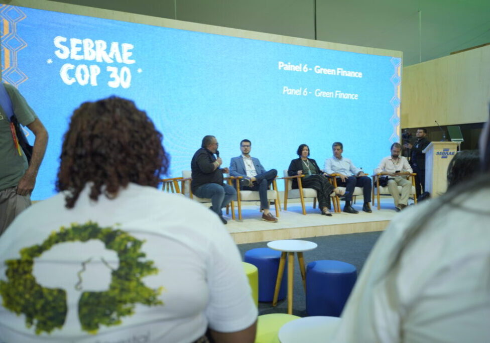PAINEL 6 GREEN FINANCE