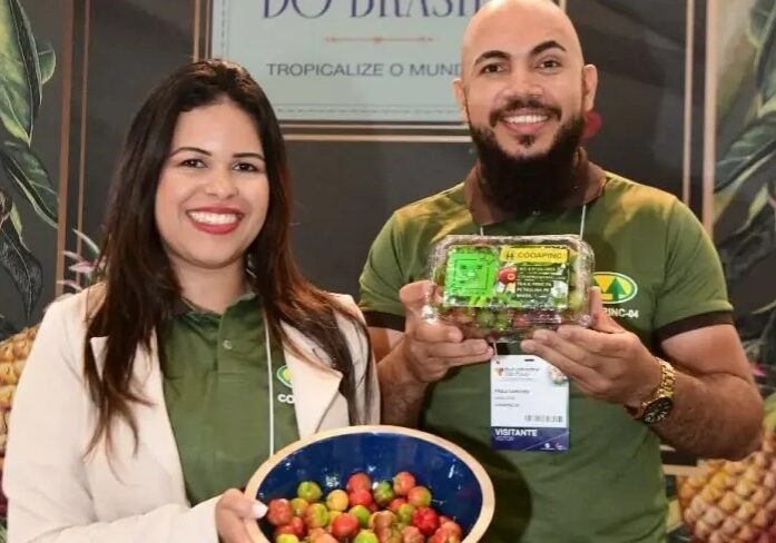 Sebrae frutas