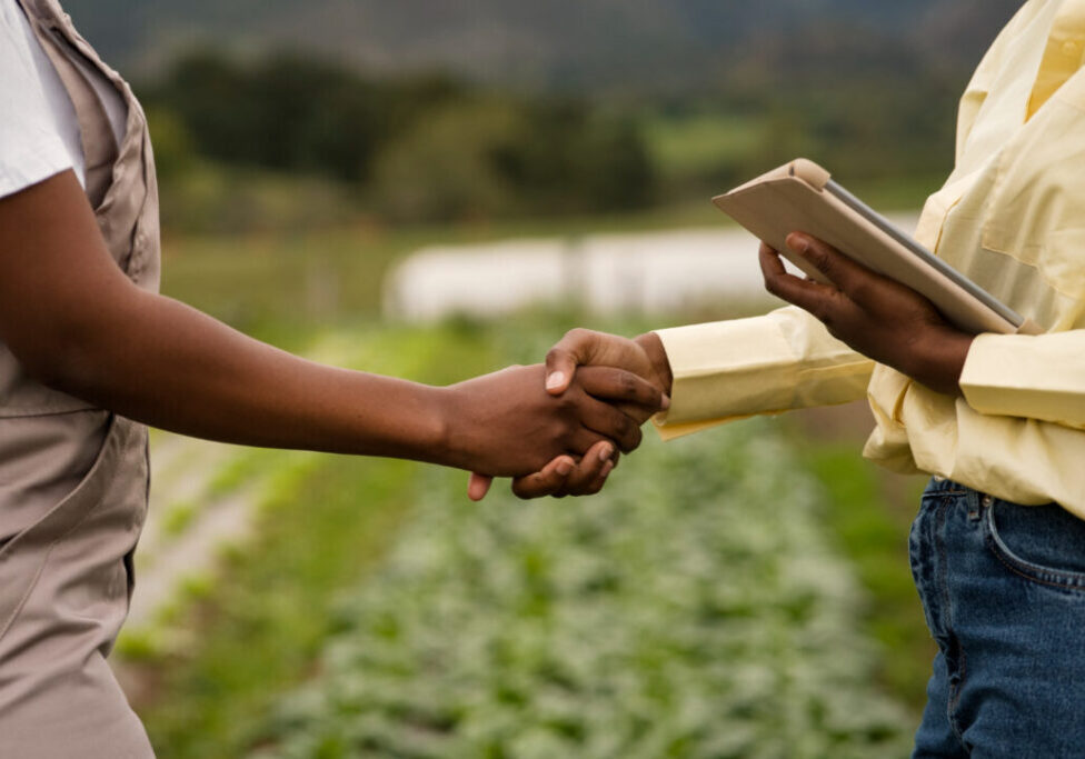 Seguro rural - agricultura - Freepik