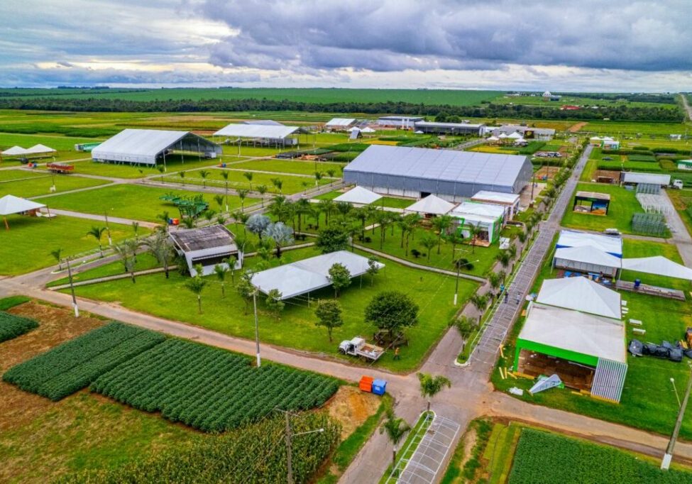 Show-Safra-Estrutura