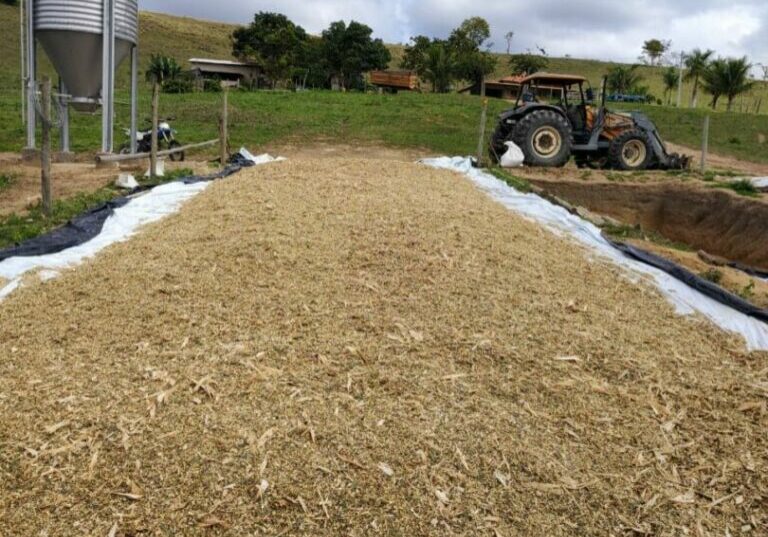 Silagem-Nater-Coop-5