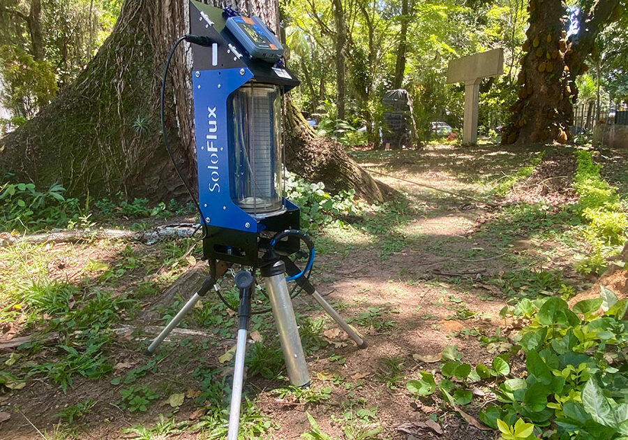 SoloFlux - Fernando Gregio