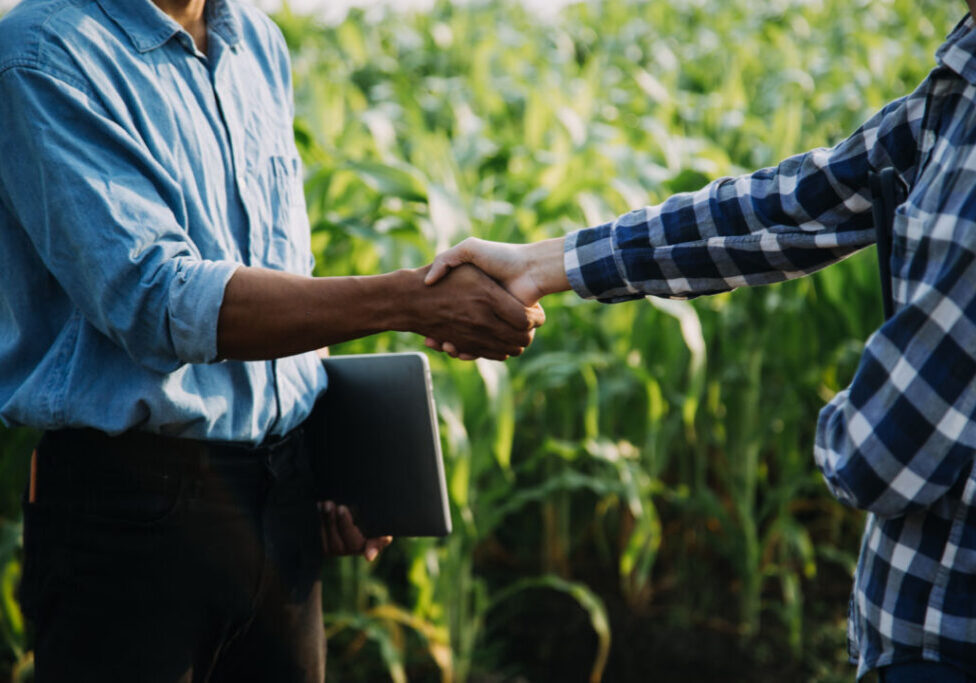Agriculturist utilize the core data network in the Internet from the mobile to validate, test, and select the new crop method. Young farmers and tobacco farming