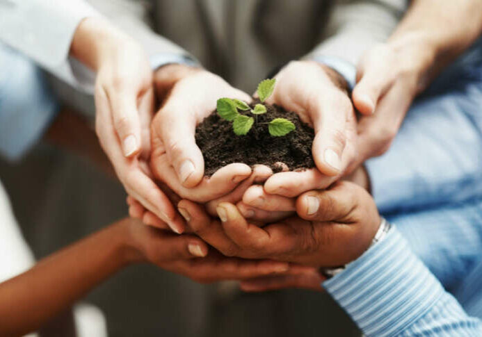 Business development - Closeup of hands holding seedling in a group