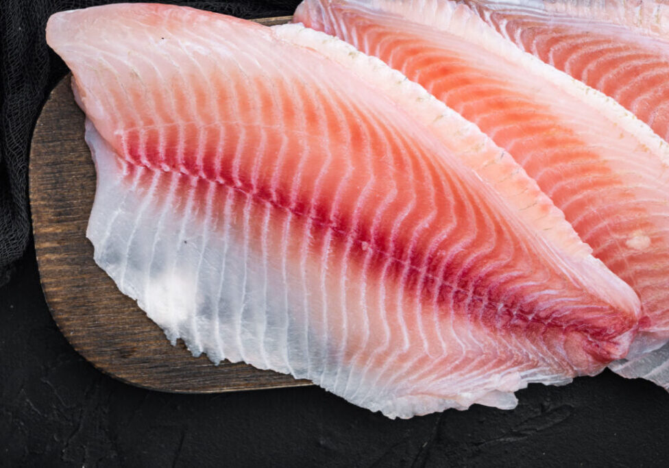 TILÁPIA_FREEPIK (1)