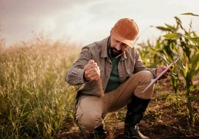 Trabalho-no-campo-02