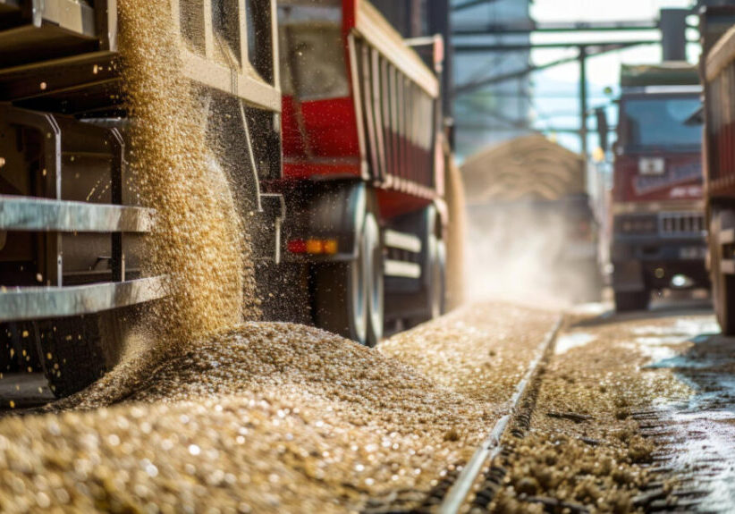 Transporte de grãos - Freepik
