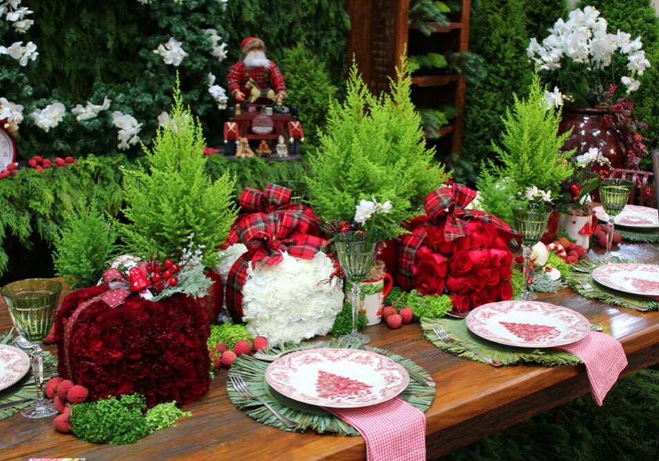 Tuias-Fazenda-terra-viva-2