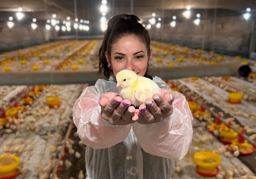 VETANCO-Carina-Z-Barcik-Vencedora-do-1-Concurso-Fotografico-Chicken-Lovers-Credito-Divulgacao