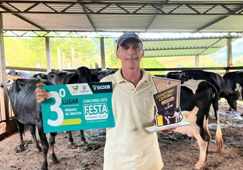 Vaca festa da banana e do leite - Clovis Rangel