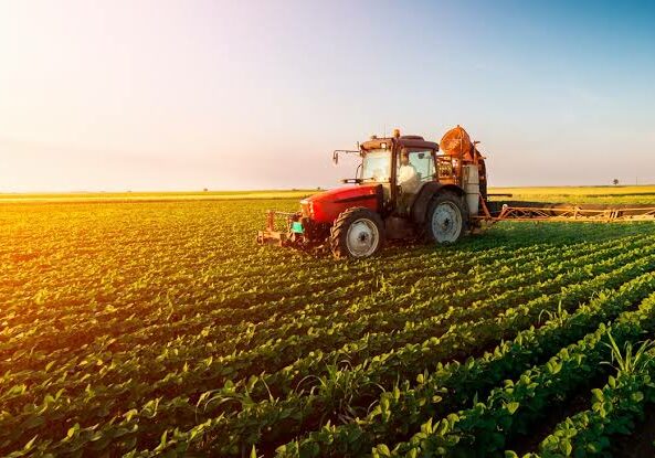 Valor-Producao-Agropecuaria