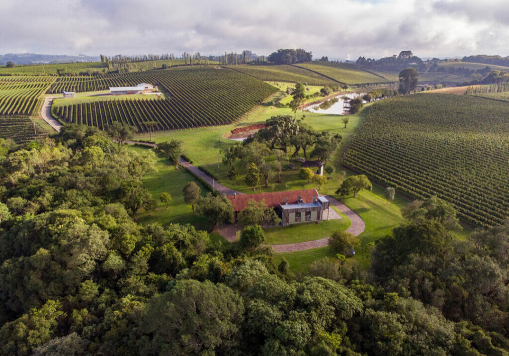 Vinicola-Aurora-Pinto-Bandeira-_-Credito-Zeto-Teloken