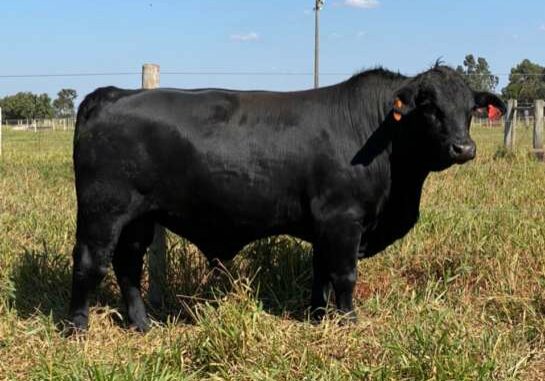 WhatsApp-Image-2021-06-04-at-17.17.53