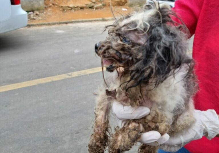 WhatsApp-Image-2021-11-09-at-15.13.04