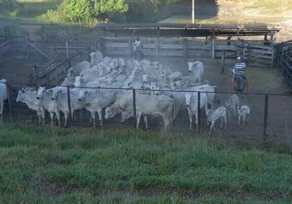 WhatsApp-Image-2022-03-31-at-17.27.10