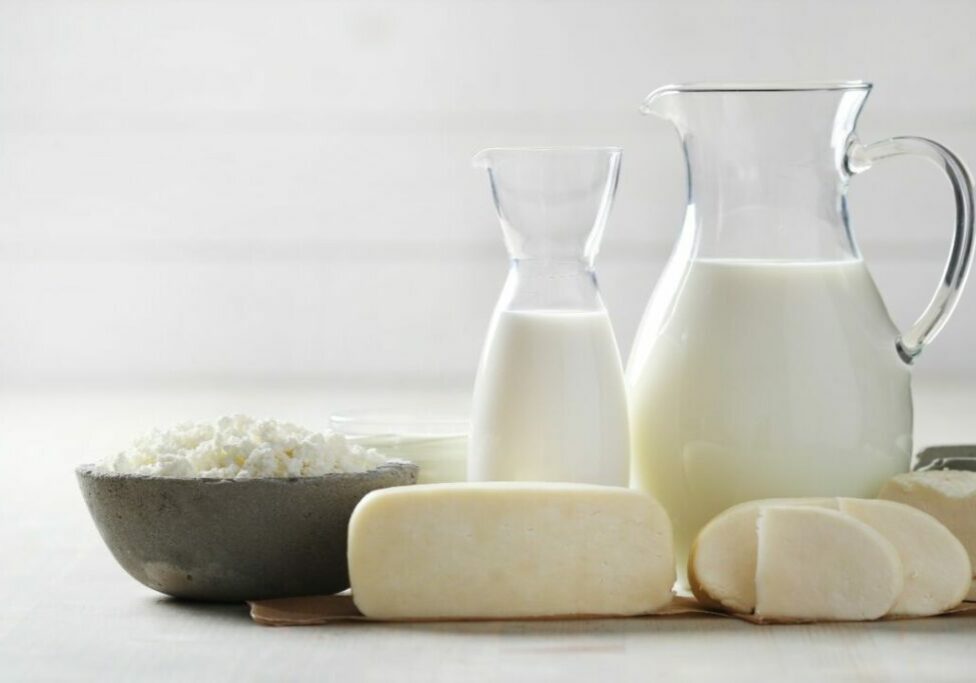 WhatsApp-Image-2023-01-16-at-20.34.28