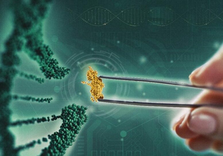 WhatsApp-Image-2023-02-02-at-12.55.54