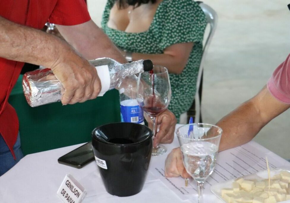 WhatsApp-Image-2023-02-04-at-16.06.58