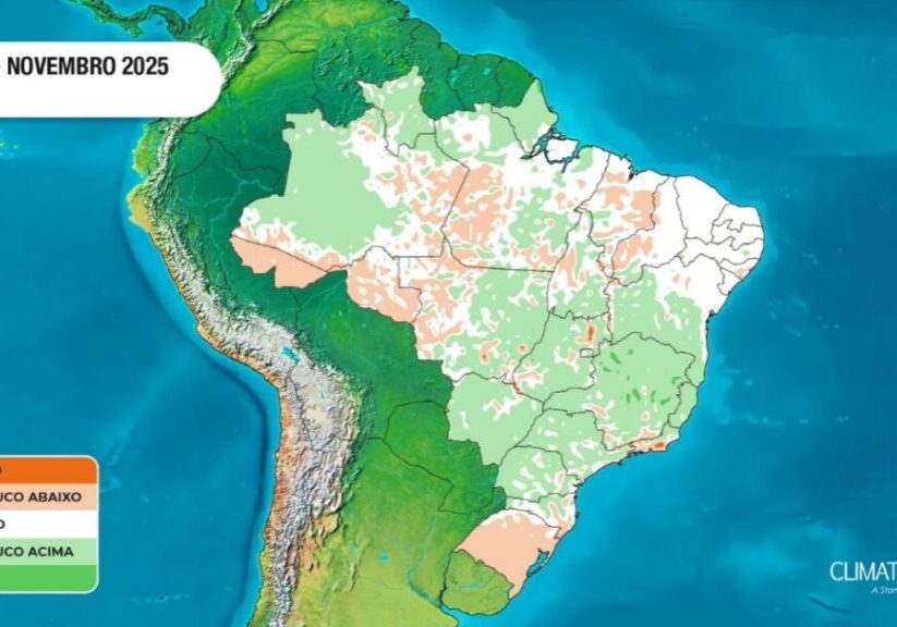 WhatsApp Image 2025-10-30 at 11.44.48 (2)