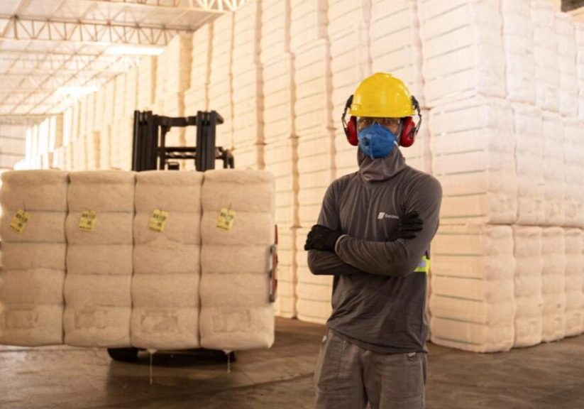 WhatsApp Image 2026-01-08 at 11.19.30