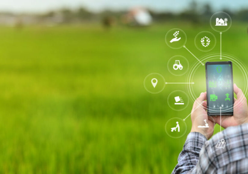 A male farmer is working in the field his using a mobile phone with Innovation technology for smart farm system.