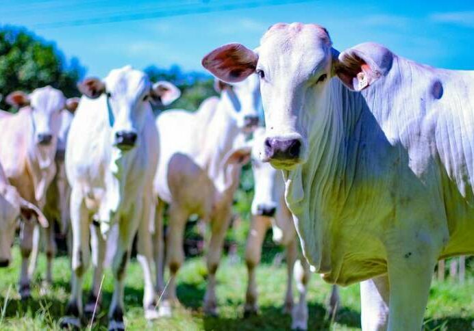 a3ac05e5-07a7-4bb4-bd53-333211c7ba19