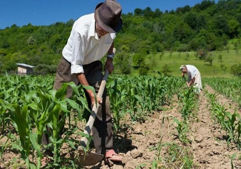 agricultura-familia-3