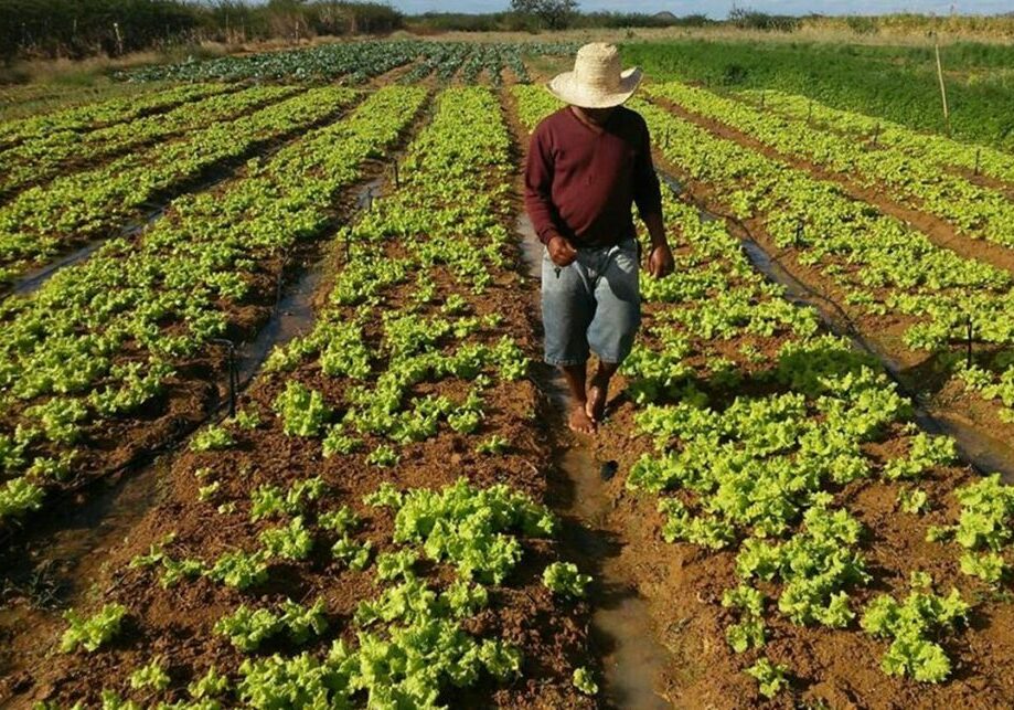 agricultura-familiar