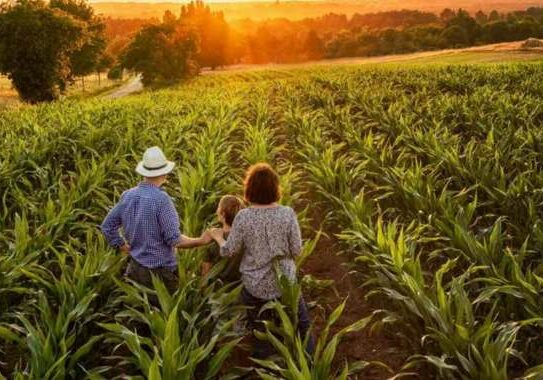 agricultura_familiar