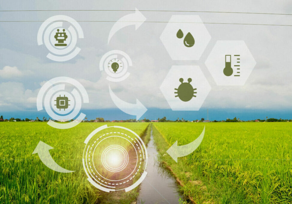 agriculture-field-with-high-technologies-and-innov-2022-11-02-16-34-51-utc-1-1