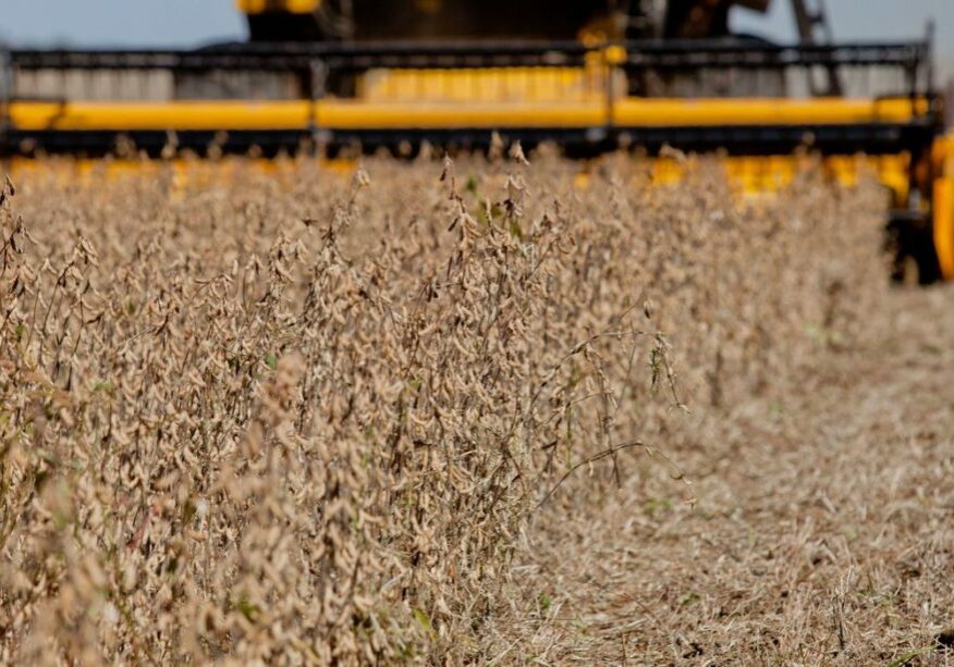 PALMEIRA DAS MISSÕES, RS, BRASIL, 18.04.13: Colheita de soja na Região Celeiro. Foto: Camila Domingues/Palácio Piratini