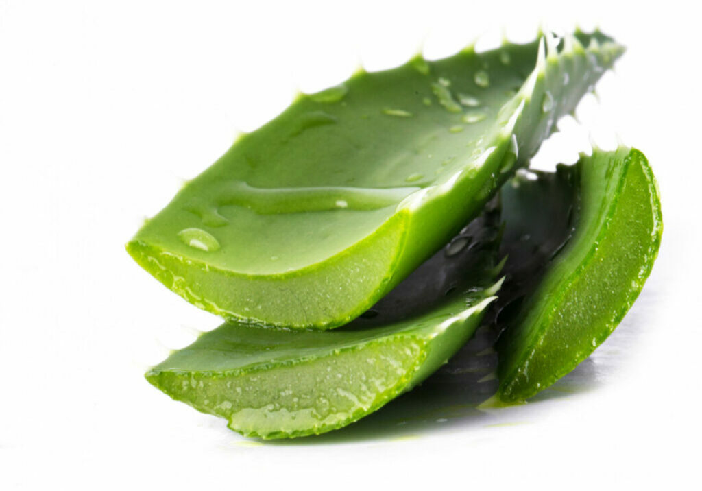 aloevera-babosa-Freepik