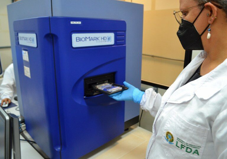 amostras-semana-santa