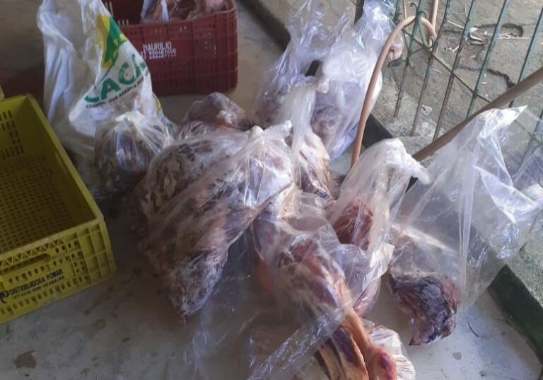 apreensão_carnes