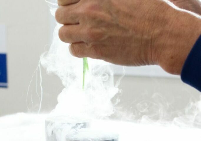 asbia-index-semen-terceiro-tri-foto-texto-comunicacao