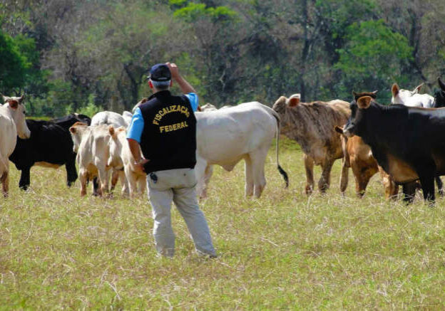 auditor-fiscal-agropecuario