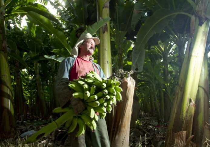 bb7f7dbc34398f9c0c97a56129266b60_lg_original_