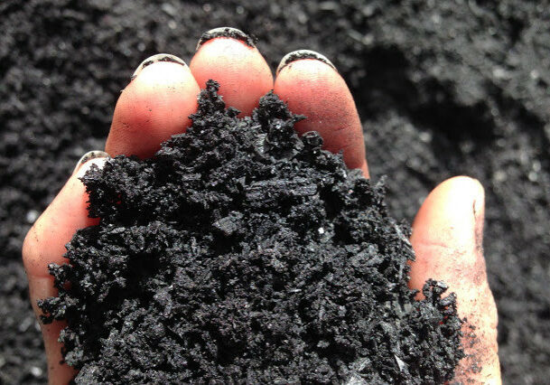 biochar