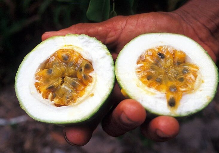 c3bc0bce-09ff-4d20-a46a-f199bbdafc26