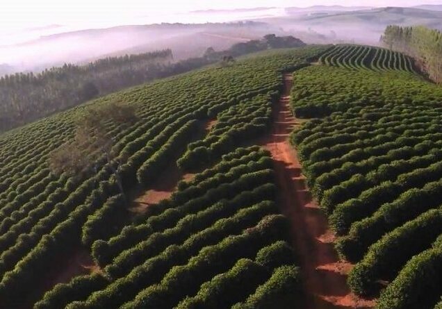 cafe-campo-vertentes