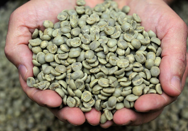 cafe-verde-emagrecimento1