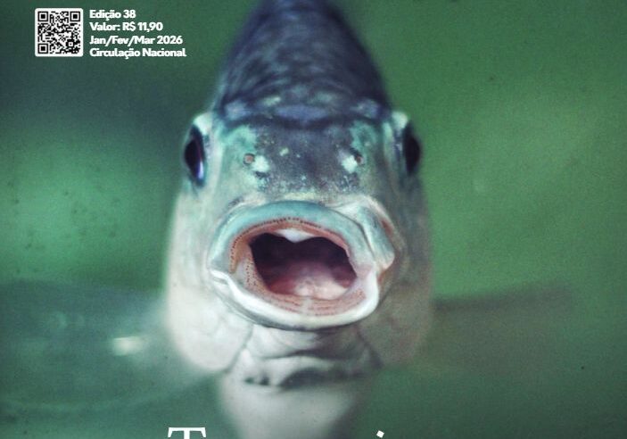 capa_revista_38