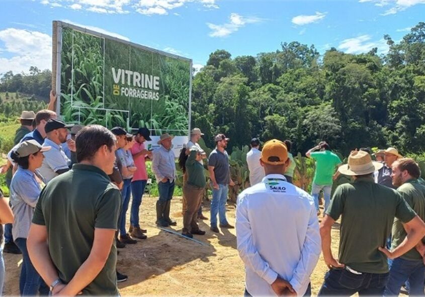 sustentabilidade na pecuária