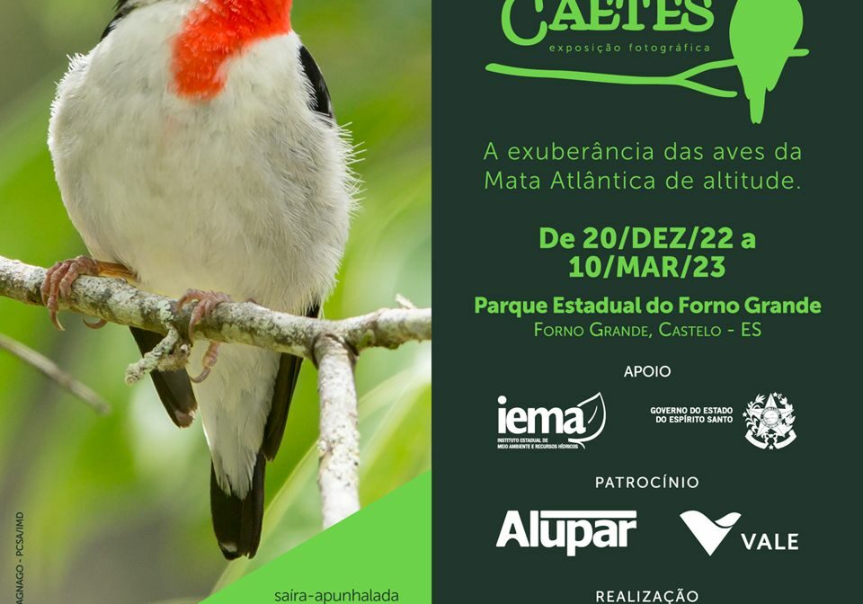 card-01-EXPO-FORNO-GRANDE-2