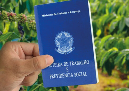carteira-trabalho