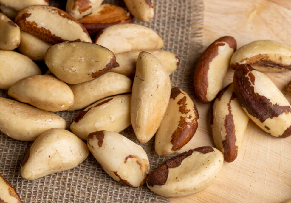 castanha_pará_freepik