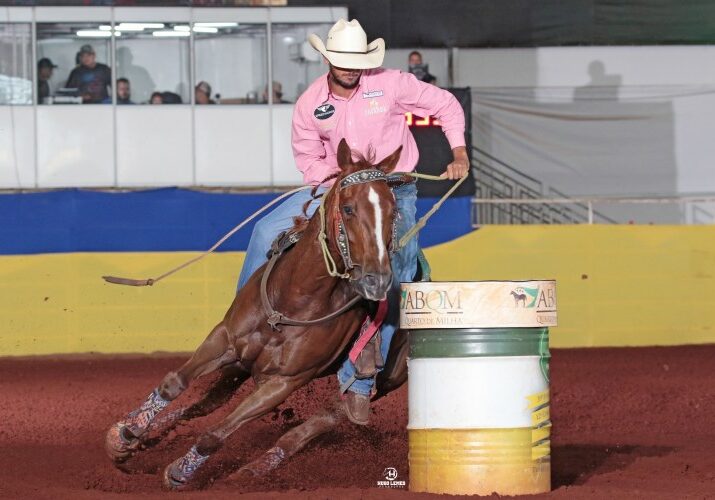 cavalo-quarto-de-milha