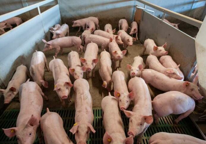 cf65d855-9780-4f14-8557-e5c3ea4d08cf-1