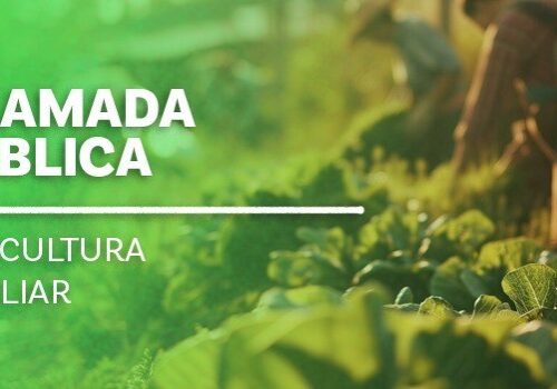 chamada-publica