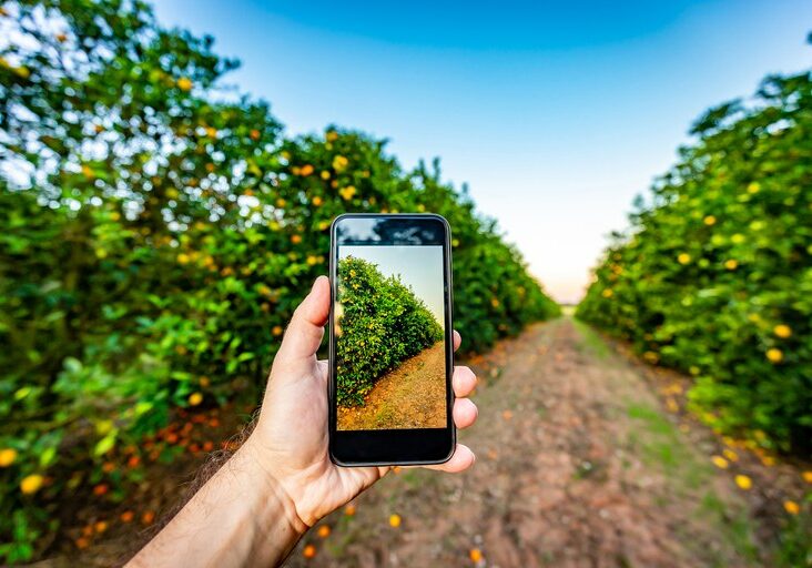 citricultura-digital